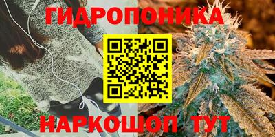 гашик Кумертау