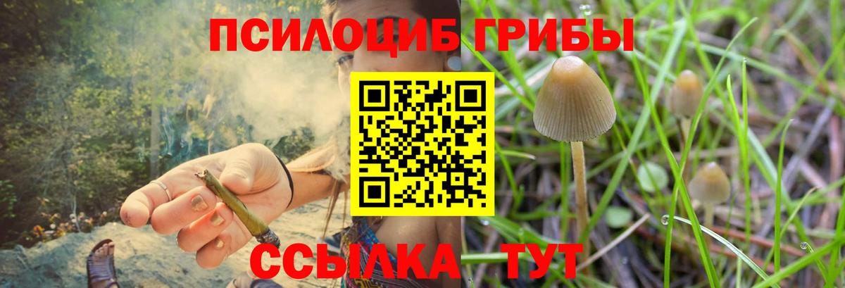 Псилоцибиновые грибы мицелий  Вход с VPN  Гагарин 