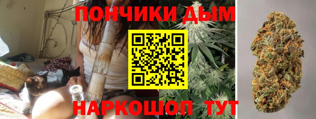 Бошки марихуана сатива  Канабис AK-47  Вход с VPN  Канабис гибрид  Гагарин 